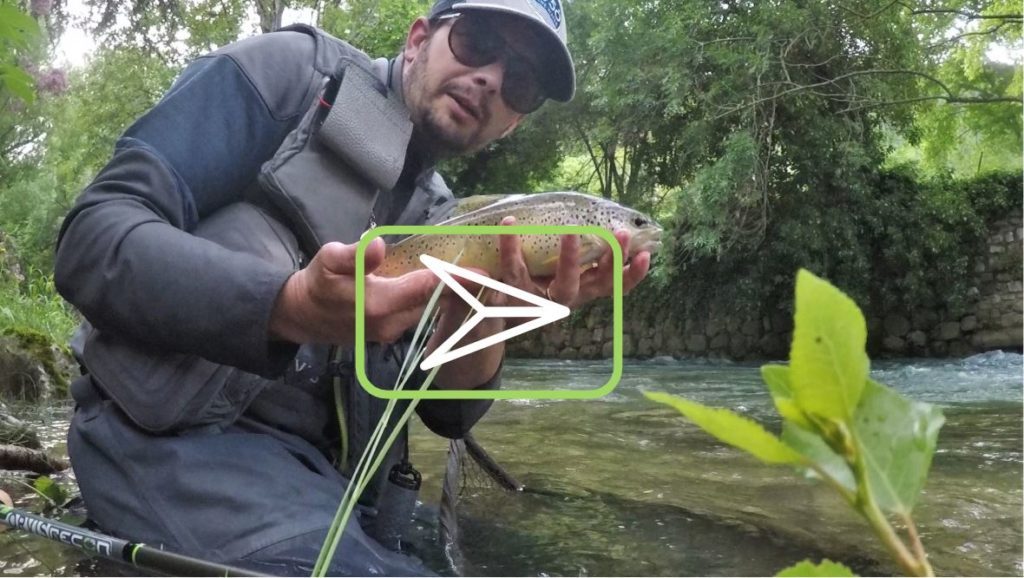 Vidéo : pêche à la mouche après 60 jours à la maison !